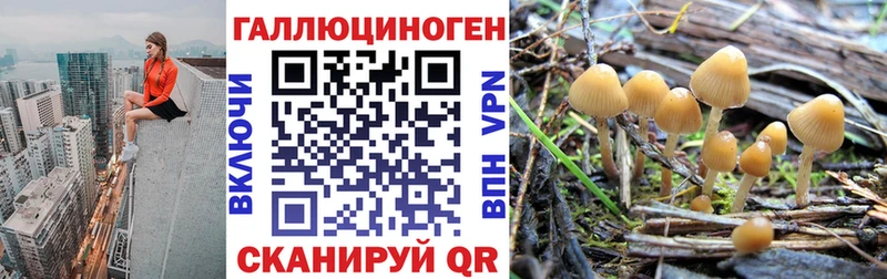 darknet как зайти  Ртищево  Галлюциногенные грибы мицелий 